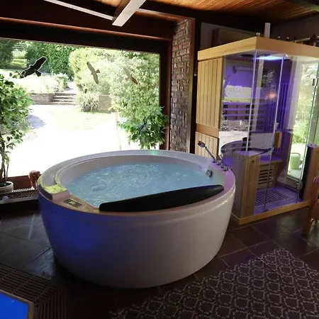 Eifel With Pool Prázdninový dům *