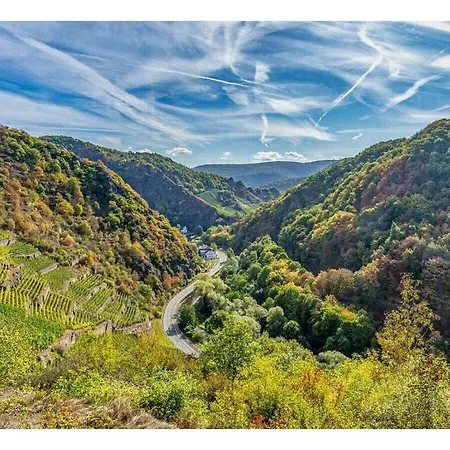 Prázdninový dům Eifel With Pool Wimbach